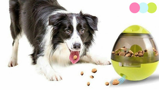Pet Interactive Food Egg Toy