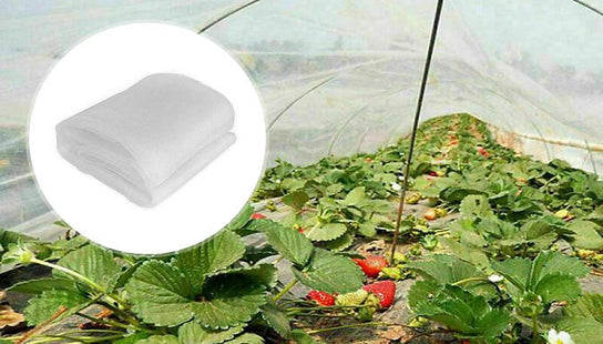 Plant Protection Netting
