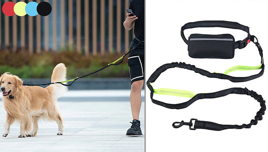 Adjustable Waist Belt Pet Leash