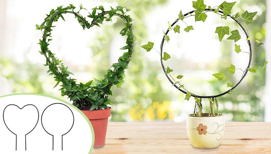 2-Pack Shaped Plant Trellis