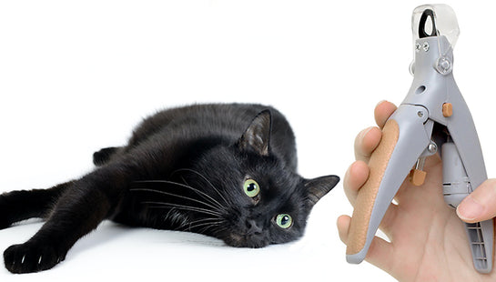 Illuminated Pet Nail Clipper