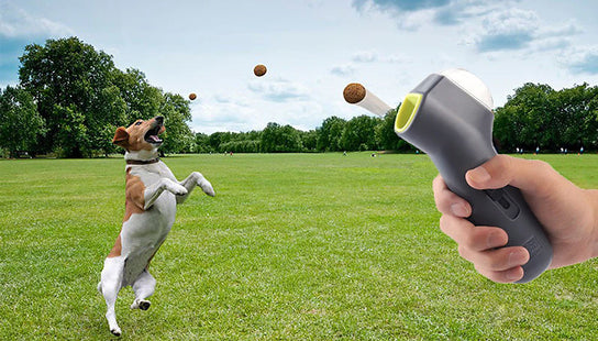 Pet Treat Launcher