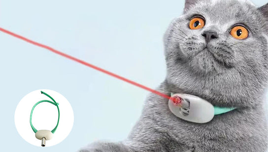 Electric Laser Pointer Cat Collar