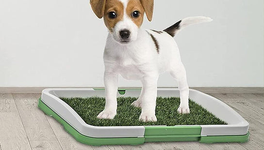 Dog Potty Training Grass Mat