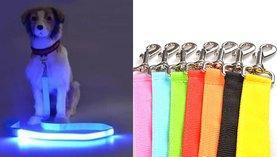 USB Rechargeable LED Dog Leash