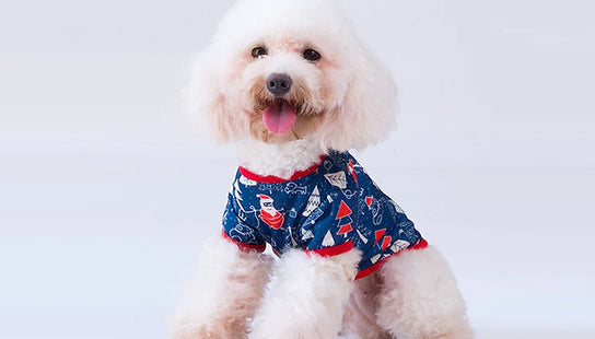 Festive Christmas Pet Jumper