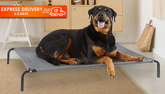 Waterproof Elevated Portable Dog Bed