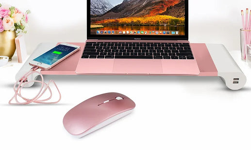 PC Desktop Organiser Aluminium Stand