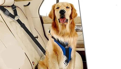 Adjustable Pet Safety Car Seat Belts
