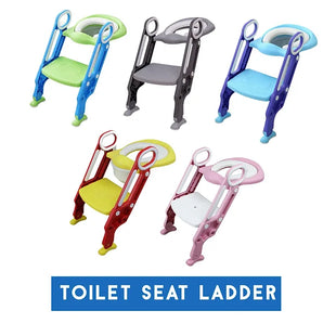 Potty Training Seat & Ladder