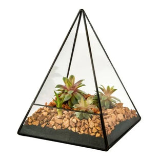 Triangle Glass Geometric Succulent Terrarium