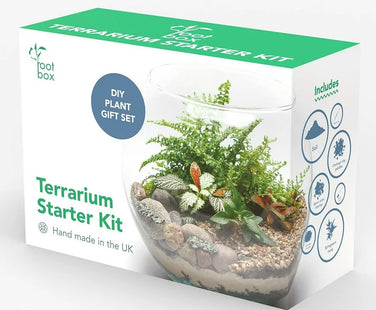 Terrarium Kit