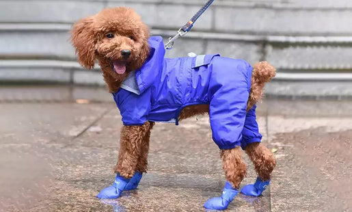 Dog Silicone Non-Slip Wear-Resistant Rain Boots