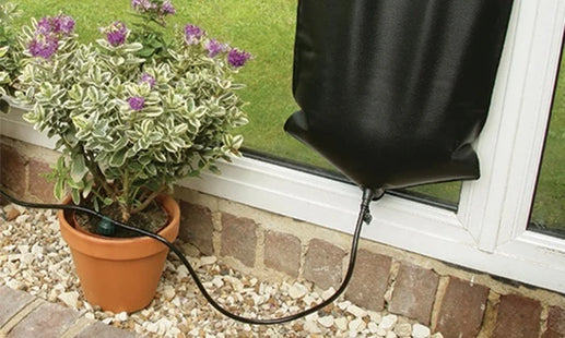 10.5L Automatic Plant Watering System