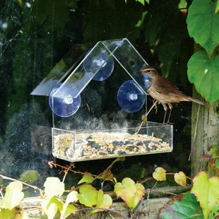 Window Bird Feeder