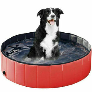Pet Paddling Pool