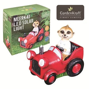 Driving Meerkat Solar Light