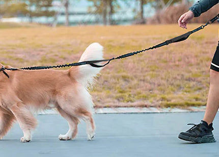 Adjustable Waist Belt Pet Leash