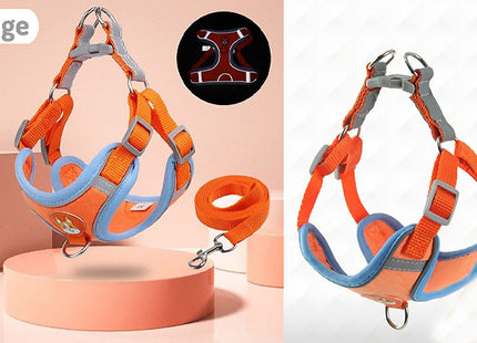 Reflective Dog Harness and Leash Set