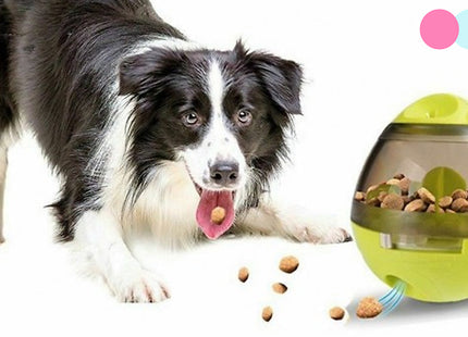 Pet Interactive Food Egg Toy