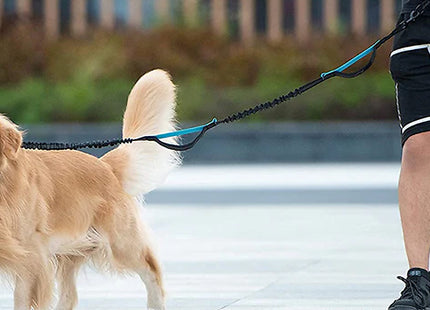 Adjustable Waist Belt Pet Leash