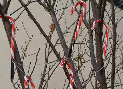 Christmas Candy Cane Lights Set