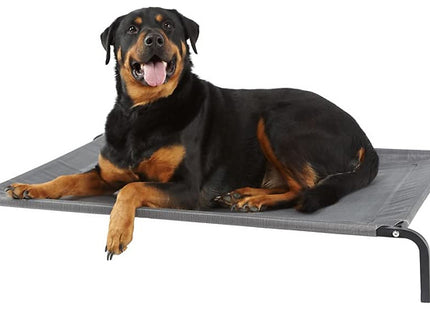 Waterproof Elevated Portable Dog Bed