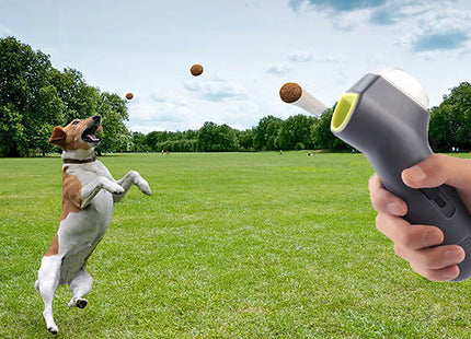 Pet Treat Launcher