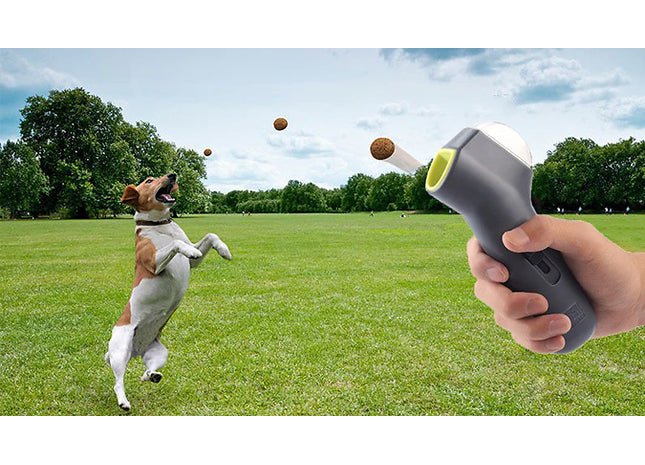 Pet Treat Launcher