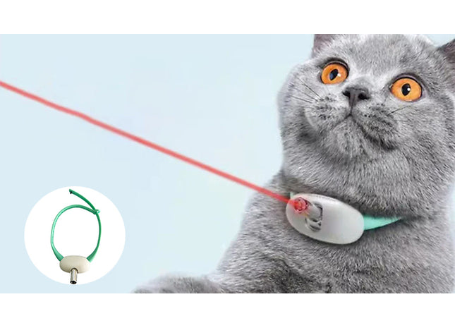 Electric Laser Pointer Cat Collar