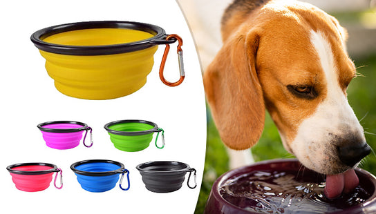 Portable Dog Bowl
