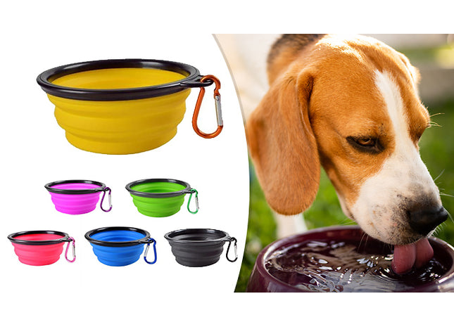 Portable Dog Bowl