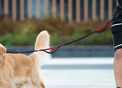 Adjustable Waist Belt Pet Leash