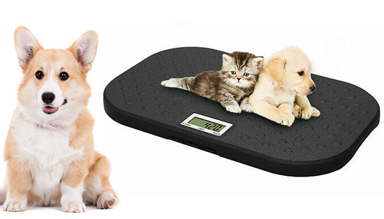 Prima Digital Electronic Infant Pet Scale: Precision Weight Tracking for Little Ones