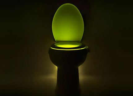 LED Night Toilet Light with Motion Sensor