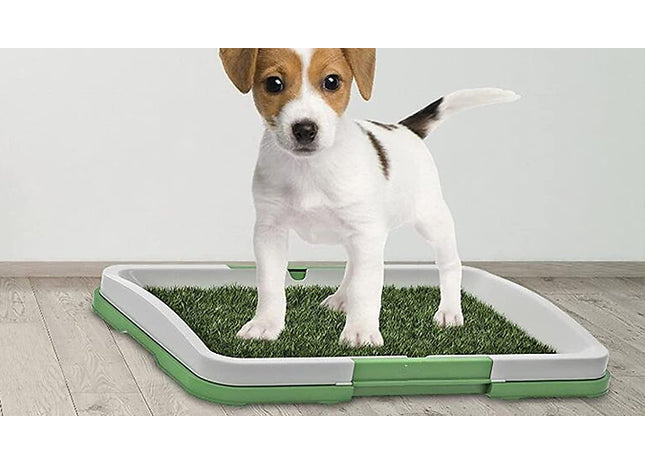 Dog Potty Training Grass Mat