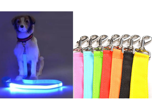USB Rechargeable LED Dog Leash