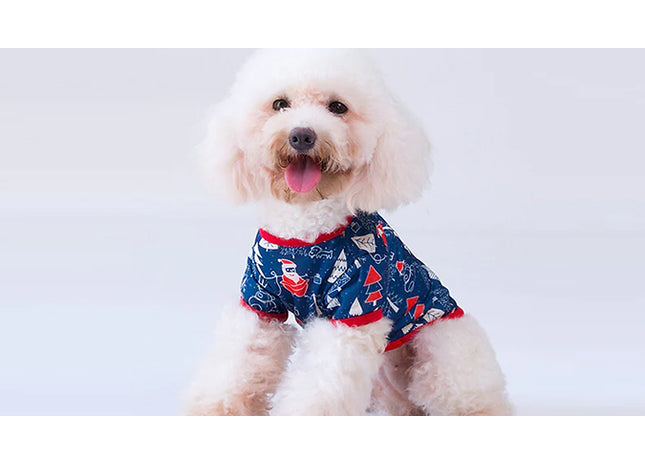 Festive Christmas Pet Jumper