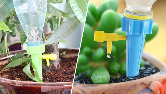 4pc Self-Contained Auto Drip Watering Irrigation Spikes - 2 Colours