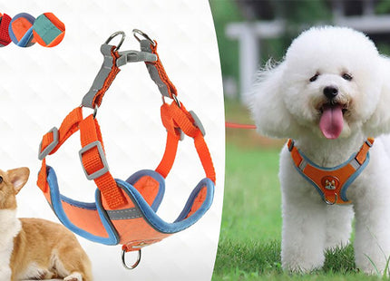 Reflective Dog Harness and Leash Set