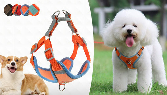 Reflective Dog Harness and Leash Set