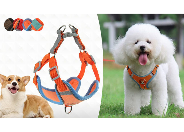 Reflective Dog Harness and Leash Set