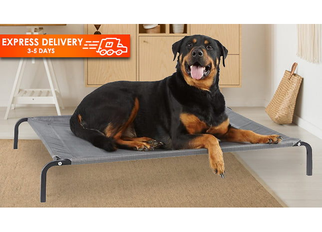 Waterproof Elevated Portable Dog Bed