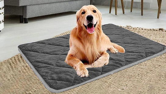 Thermal Pet Mat