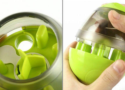 Pet Interactive Food Egg Toy
