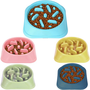 Slow Feeder Eco Friendly Pet Bowl