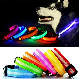 LED Dog Collar - Battery Included - Available in 5 Colours & 4 Sizes - Makes Your Dog Visible, Safe & Seen - Light Up Dog Collar - HOMEVIBE (Extra Large, Red)