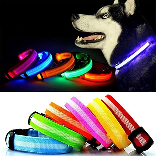 LED Dog Collar - Battery Included - Available in 5 Colours & 4 Sizes - Makes Your Dog Visible, Safe & Seen - Light Up Dog Collar - HOMEVIBE (Extra Large, Red)