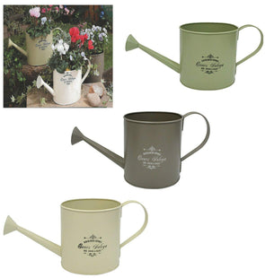 PMS LARGE VINTAGE WATERCAN PLANTER IN COLOUR BOX 3ASSTD