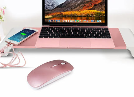 PC Desktop Organiser Aluminium Stand